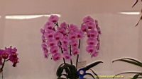 DSC00318.JPG