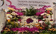 DSC00322.JPG
