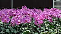 DSC00324.JPG