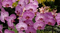 DSC00328.JPG