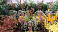 DSC00329.JPG