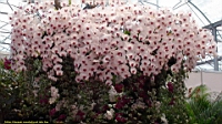 DSC00331.JPG