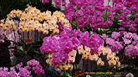 DSC00332.JPG