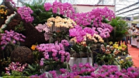 DSC00334.JPG
