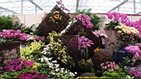 DSC00335.JPG