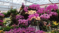 DSC00336.JPG
