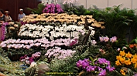 DSC00337.JPG