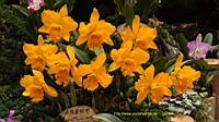 DSC00338.JPG