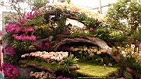 DSC00340.JPG
