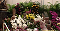 DSC00341.JPG