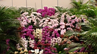 DSC00345.JPG