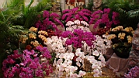 DSC00346.JPG