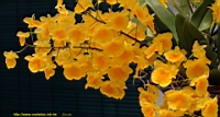 DSC00348.JPG