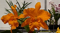 DSC00349.JPG