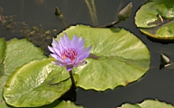 IMG_2327.JPG