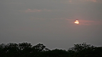 IMG_2349.JPG
