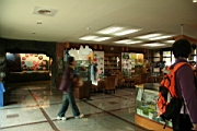 IMG_2384.JPG