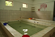 IMG_2422.JPG