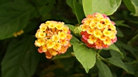 IMG_2427.JPG