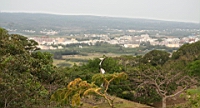 IMG_2460.JPG