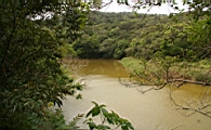 IMG_2467.JPG