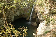 IMG_2523.JPG