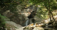 IMG_2527.JPG