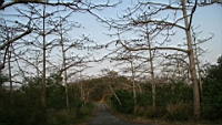 IMG_2565.JPG