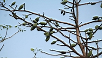 IMG_2566.JPG