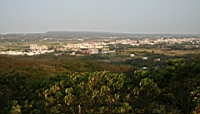 IMG_2568.JPG