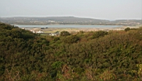 IMG_2571.JPG