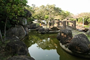 IMG_2583.JPG