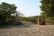 IMG_2588.JPG