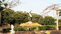 IMG_2590.JPG