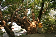 IMG_2596.JPG