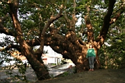 IMG_2597.JPG