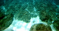 IMG_2617.JPG