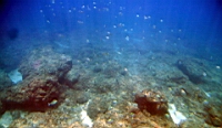 IMG_2618.JPG