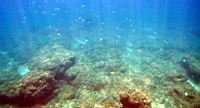 IMG_2619.JPG
