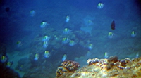 IMG_2621.JPG