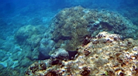 IMG_2622.JPG
