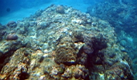 IMG_2625.JPG