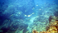 IMG_2627.JPG