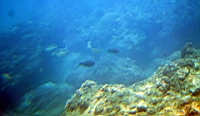 IMG_2628.JPG