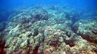IMG_2629.JPG