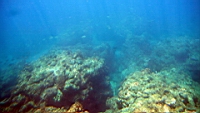 IMG_2630.JPG