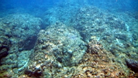 IMG_2631.JPG