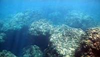 IMG_2634.JPG
