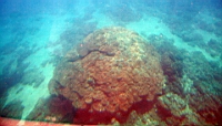 IMG_2635.JPG