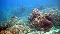 IMG_2639.JPG
